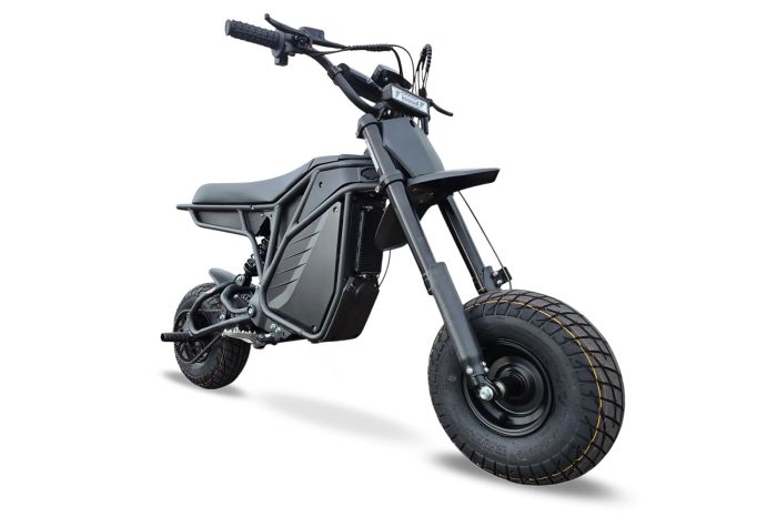 Electro & Co The Rizzler Bike