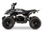 ACDC Electric ATV-  Black