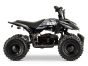 ACDC Electric ATV-  Black