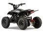 ACDC Electric ATV-  Black