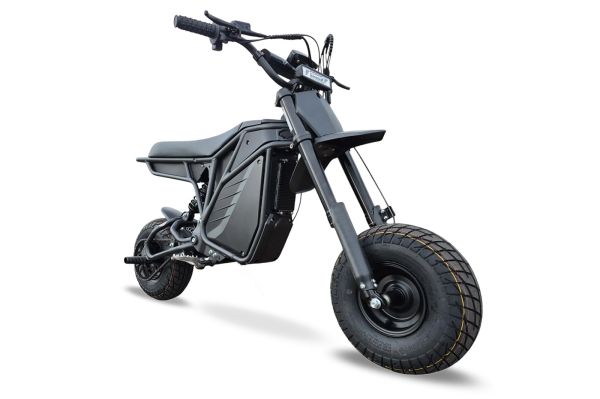 Electro & Co The Rizzler Bike