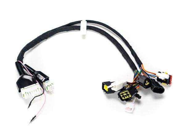 EBOX EBX Harness