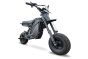Electro & Co The Rizzler Bike