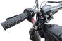 Electro & Co The Rizzler Bike