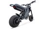 Electro & Co The Rizzler Bike