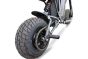 Electro & Co The Rizzler Bike